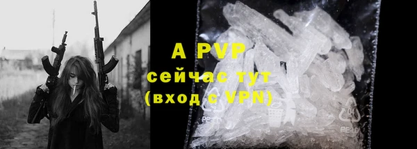 СК Новый Уренгой