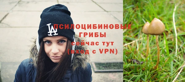 стафф Мегион